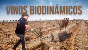 VINOS BIODINÁMICOS