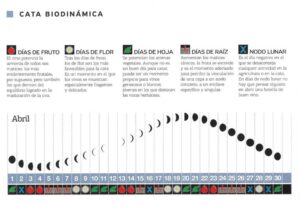 CATA BIODINÁMICA