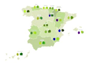 VARIEDADES DE UVAS AUT&Oacute;CTONAS EN ESPA&Ntilde;A